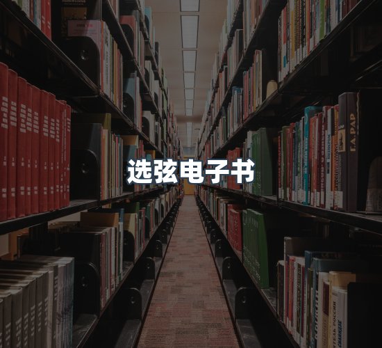 关于选弦电子书